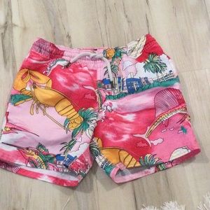 Polo Swim Trunks